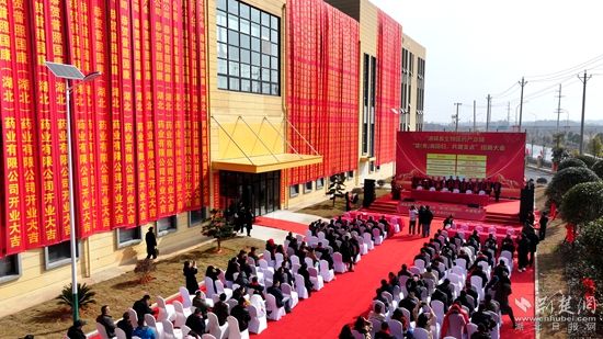 通城縣 醫(yī)藥2.jpg.jpg