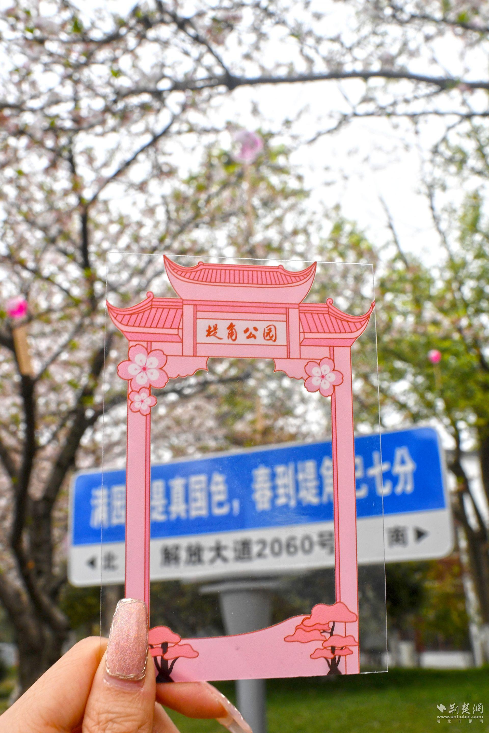 用定制櫻花透卡在公園內(nèi)地標處拍照打卡.jpg.jpg